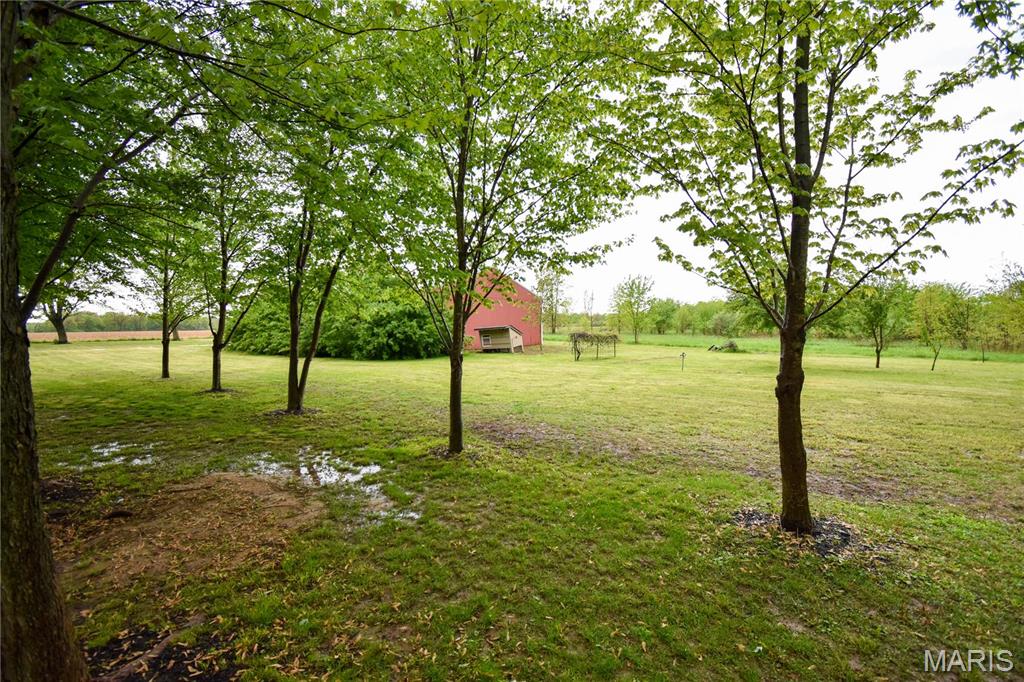8817 Rezy Road Staunton, IL 62088 - Photo 10 of 48 Gallery Image 10
