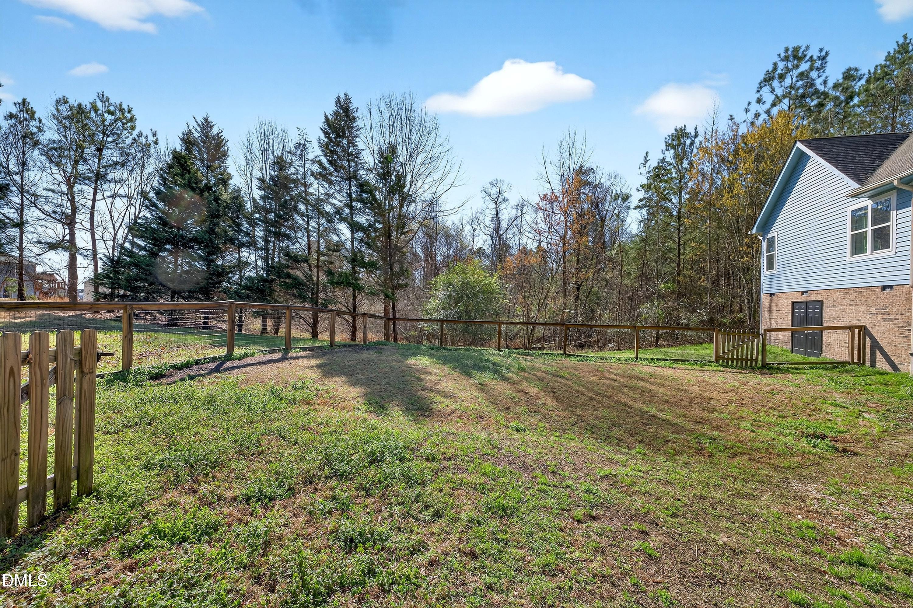 810 Woodland Road Creedmoor, NC 27522 - Photo 64 of 77 Scene-64