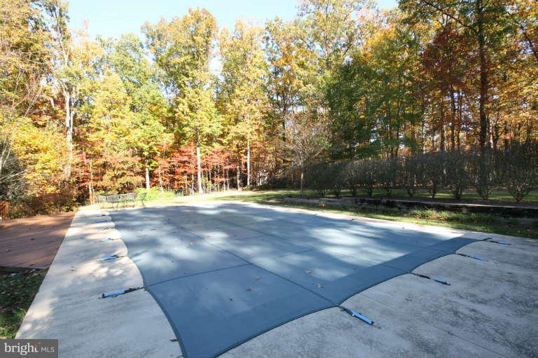 525 Clear Spring Road Great Falls, VA 22066 - Photo 27 of 30 a view of swimming pool with large trees