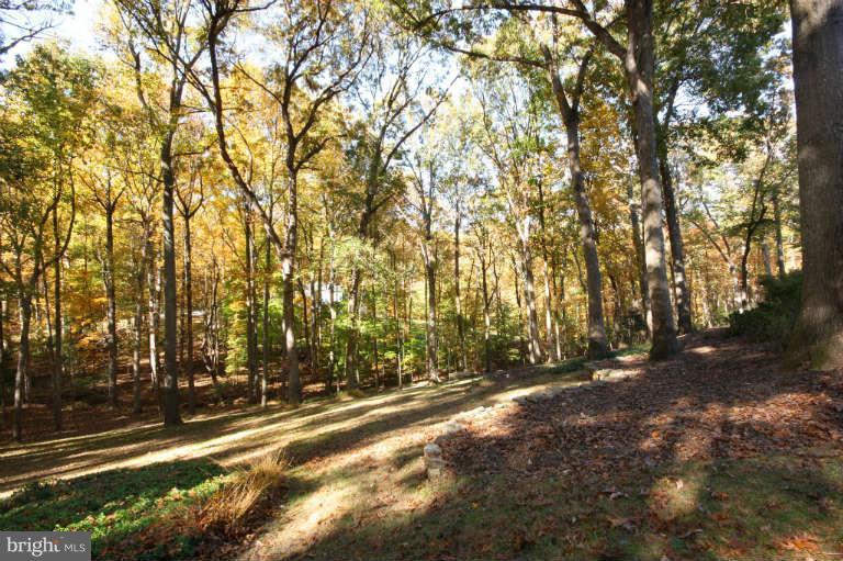 525 Clear Spring Road Great Falls, VA 22066 - Photo 30 of 30 a view of outdoor space and trees