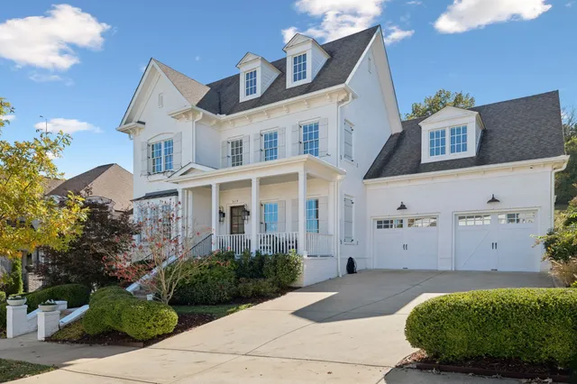 a room with a potted plant and a window