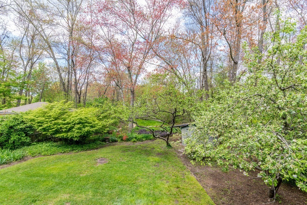31 Hill Street Lexington, MA 02421 - Photo 17 of 20 Gallery Image 17