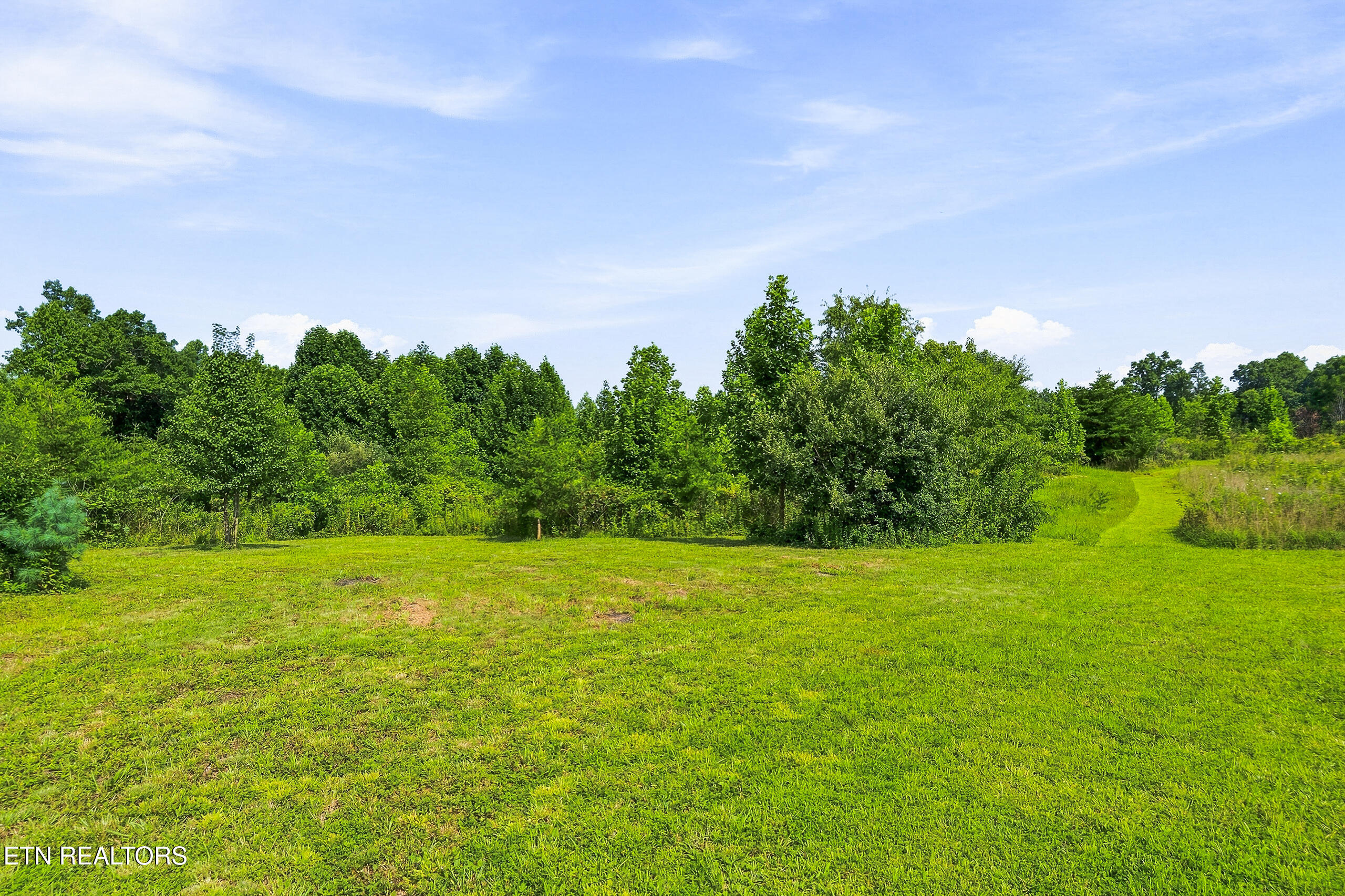 1181 West Ravenscroft Road Sparta, TN 38583 - Photo 29 of 40 DSC04027