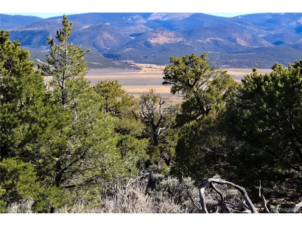 a view of a tree with a mountain in the background