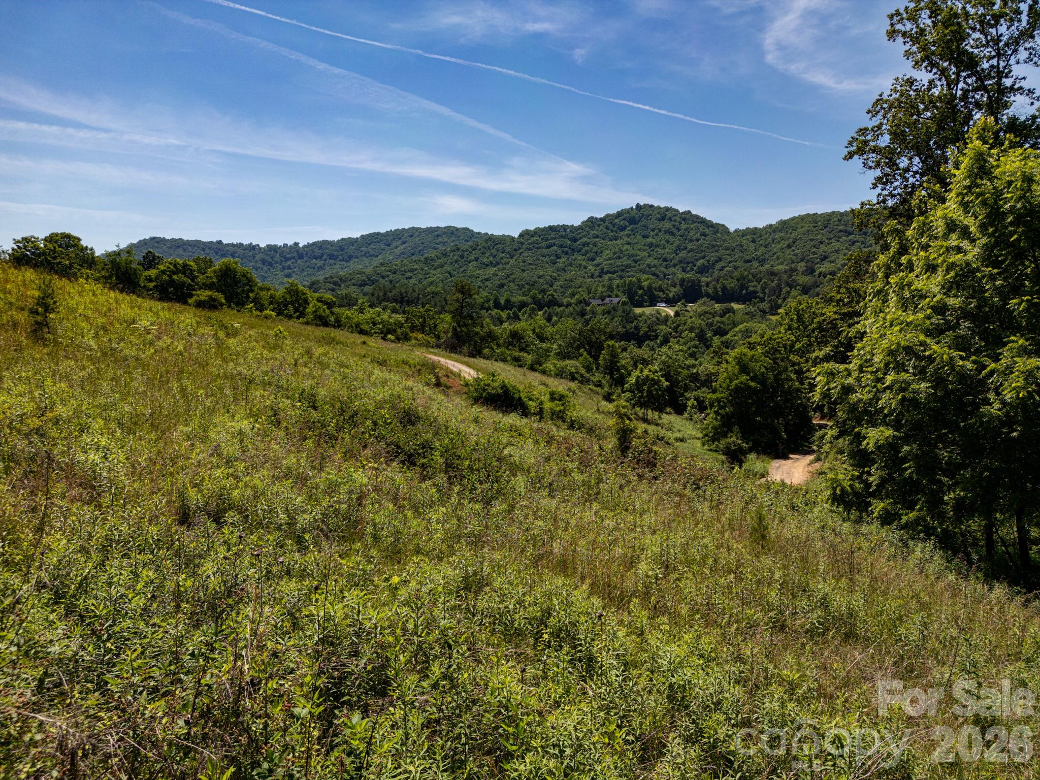 999 Murphy Cove Road Candler, NC 28715 - Photo 38 of 48