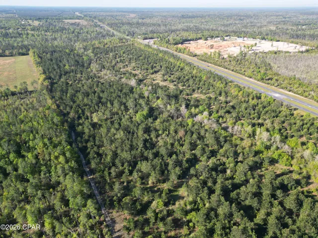 $350,000 | 0 Hwy 231 Alford, Alford, FL 32420