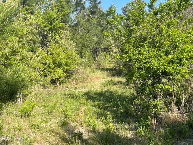 $350,000 | 0 Hwy 231 Alford, Alford, FL 32420