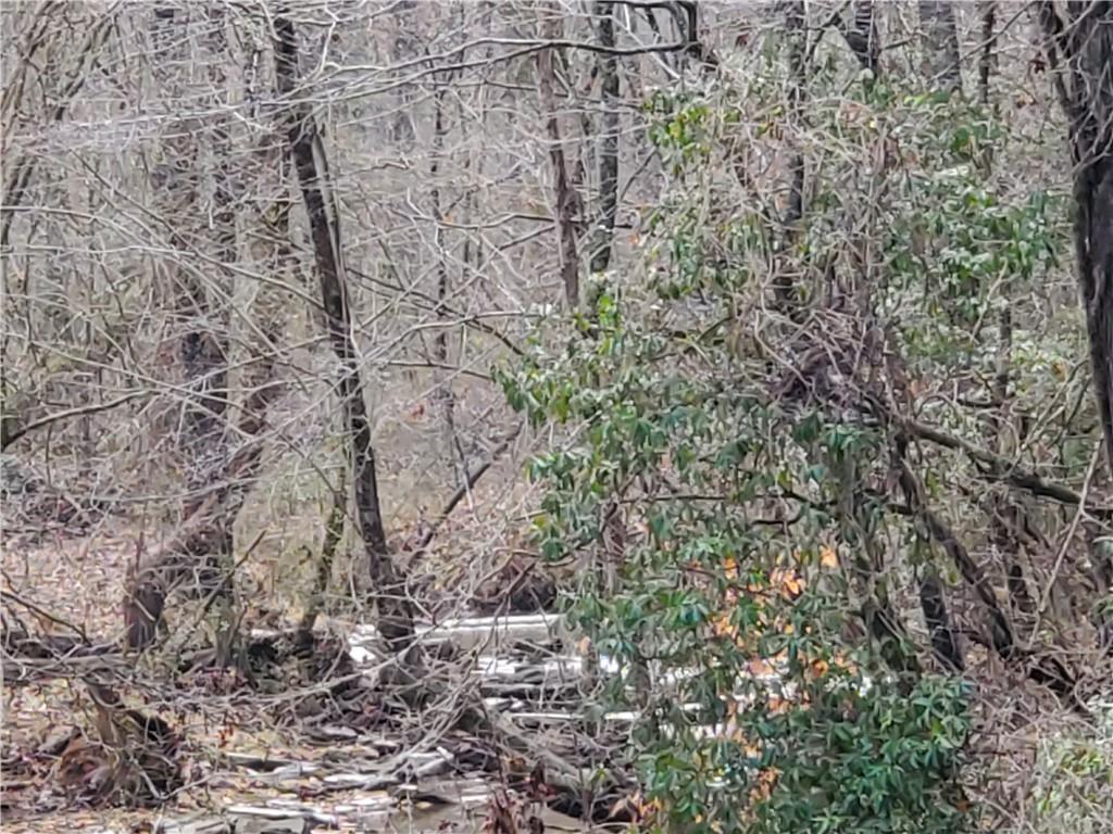 192 Mill Pond Court Jasper, GA 30143 - Photo 24 of 26