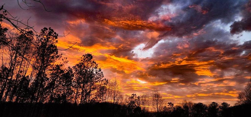 192 Mill Pond Court Jasper, GA 30143 - Photo 26 of 26