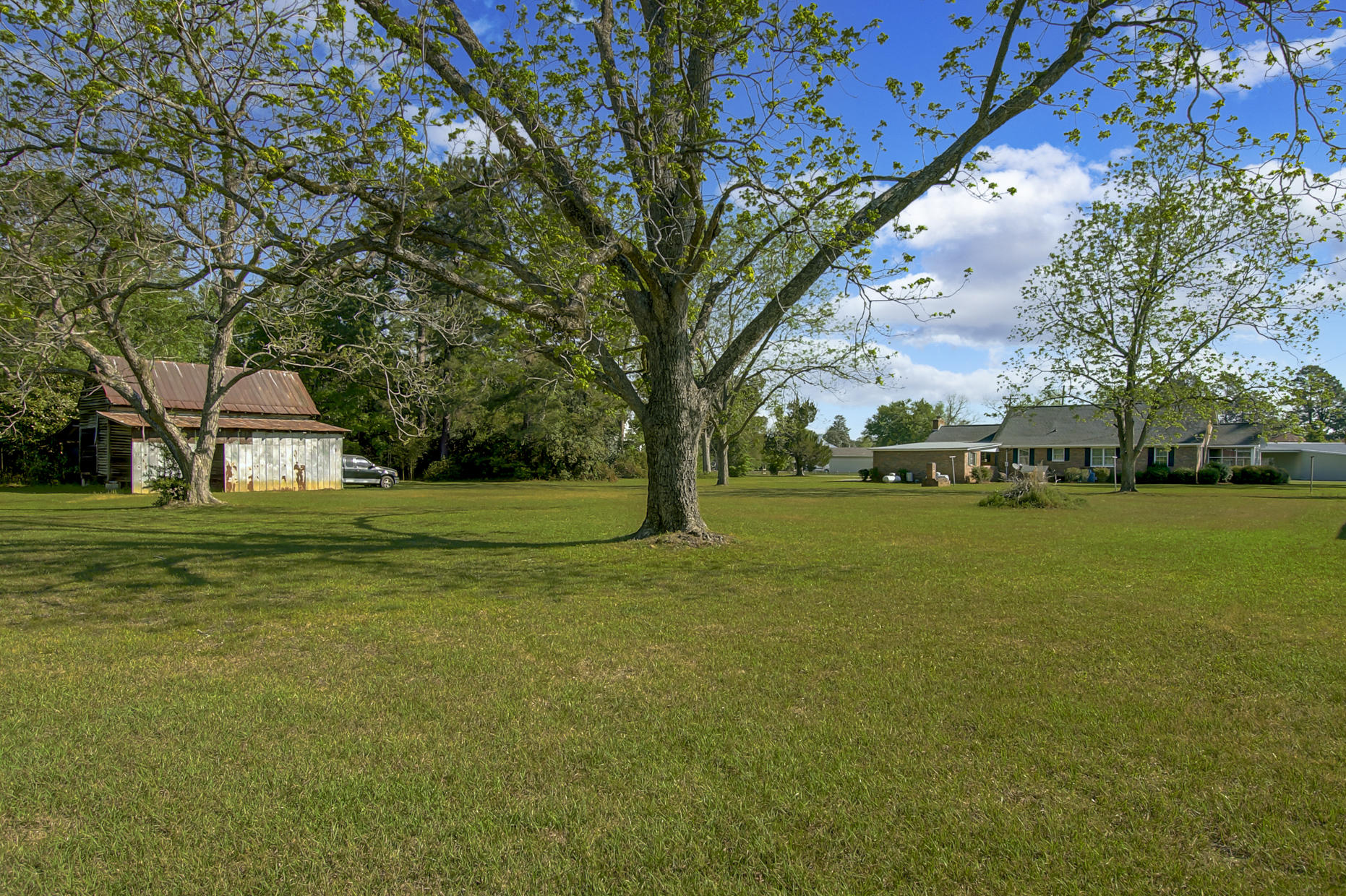 108 County Rd S-18-134 Reevesville, SC 29471 - Photo 40 of 46 41. Backyard view