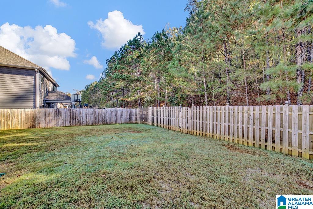 549 Chelsea Station Circle Chelsea, AL 35043 - Photo 31 of 35