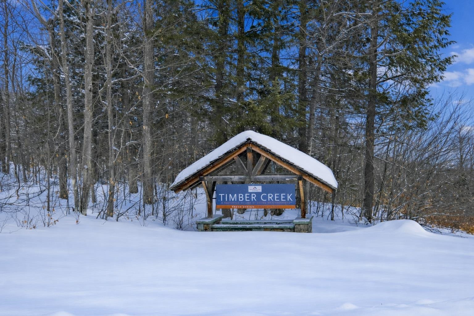 Lot 1 Timber Creek Road, Unit LOT 1 Ludlow, VT 05149 - Photo 3 of 21