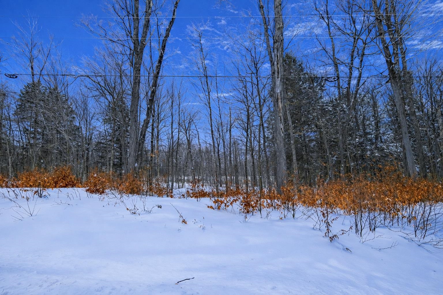 Lot 1 Timber Creek Road, Unit LOT 1 Ludlow, VT 05149 - Photo 5 of 21