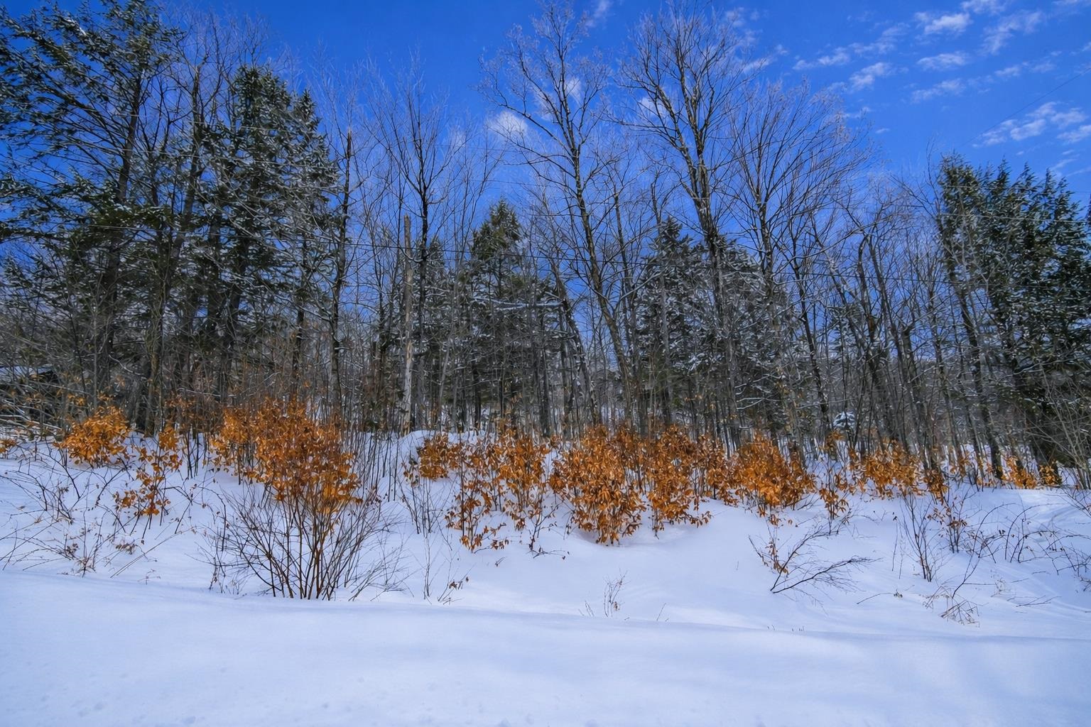 Lot 1 Timber Creek Road, Unit LOT 1 Ludlow, VT 05149 - Photo 6 of 21