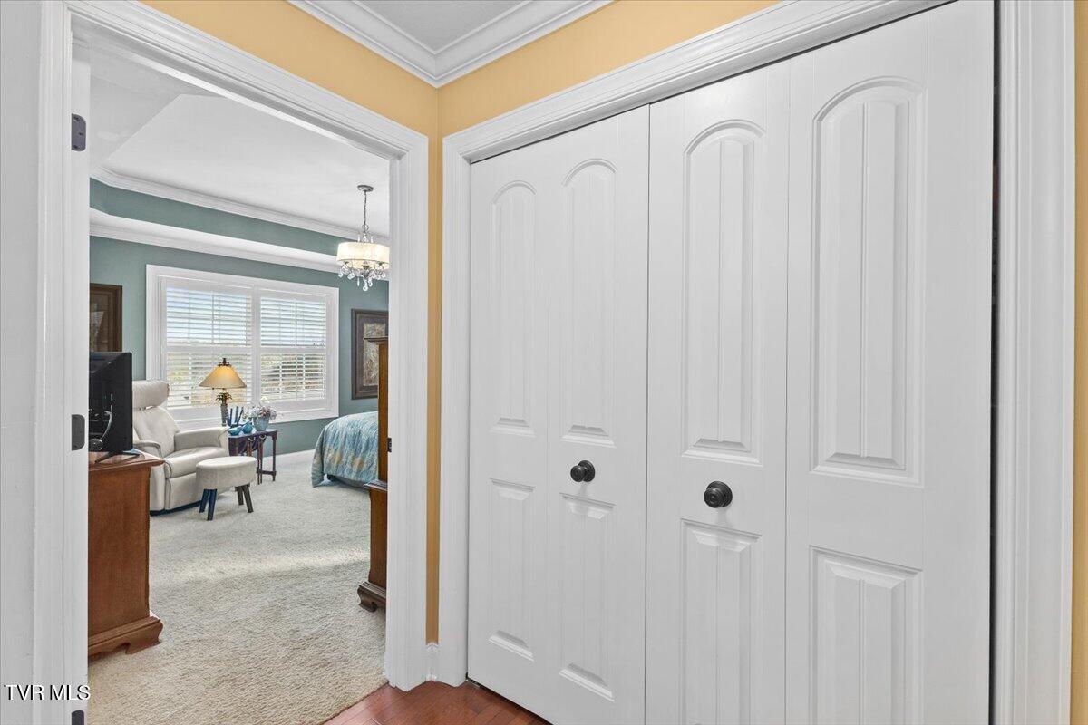 216 Bridgewater Court Gray, TN 37615 - Photo 19 of 57 17-128A7316