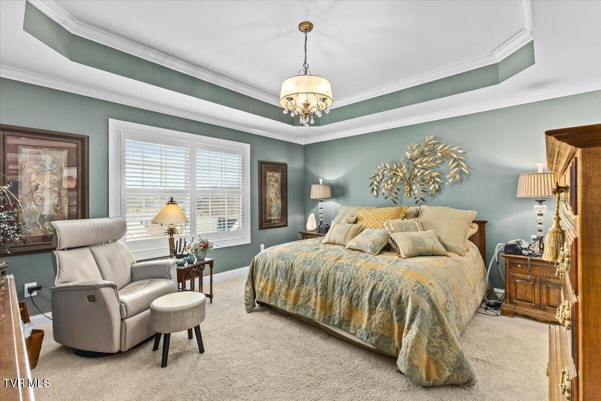 216 Bridgewater Court Gray, TN 37615 - Photo 20 of 57 18-128A7320