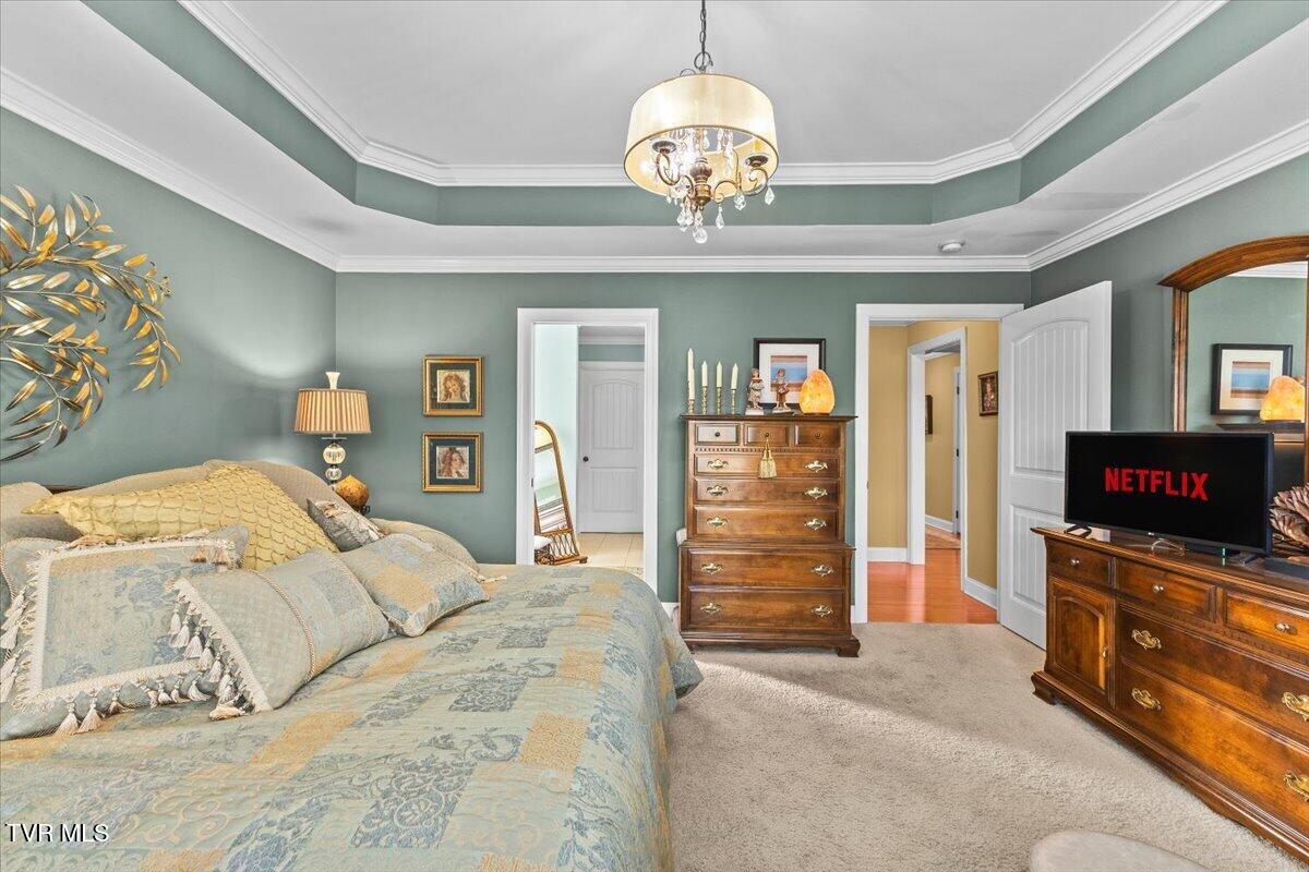 216 Bridgewater Court Gray, TN 37615 - Photo 21 of 57 19-128A7324
