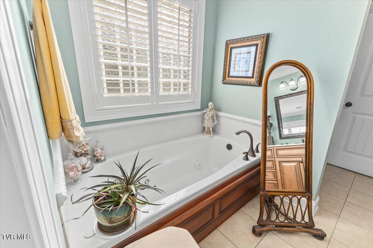 216 Bridgewater Court Gray, TN 37615 - Photo 24 of 57 22-128A7333