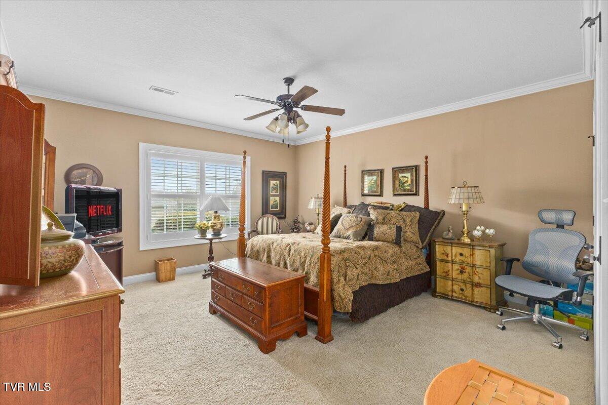 216 Bridgewater Court Gray, TN 37615 - Photo 43 of 57 43-128A7401