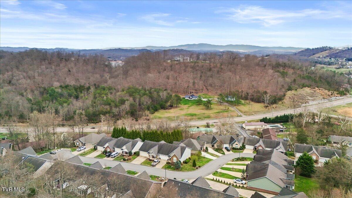 216 Bridgewater Court Gray, TN 37615 - Photo 54 of 57 54-DJI_20260310184115_0007_D