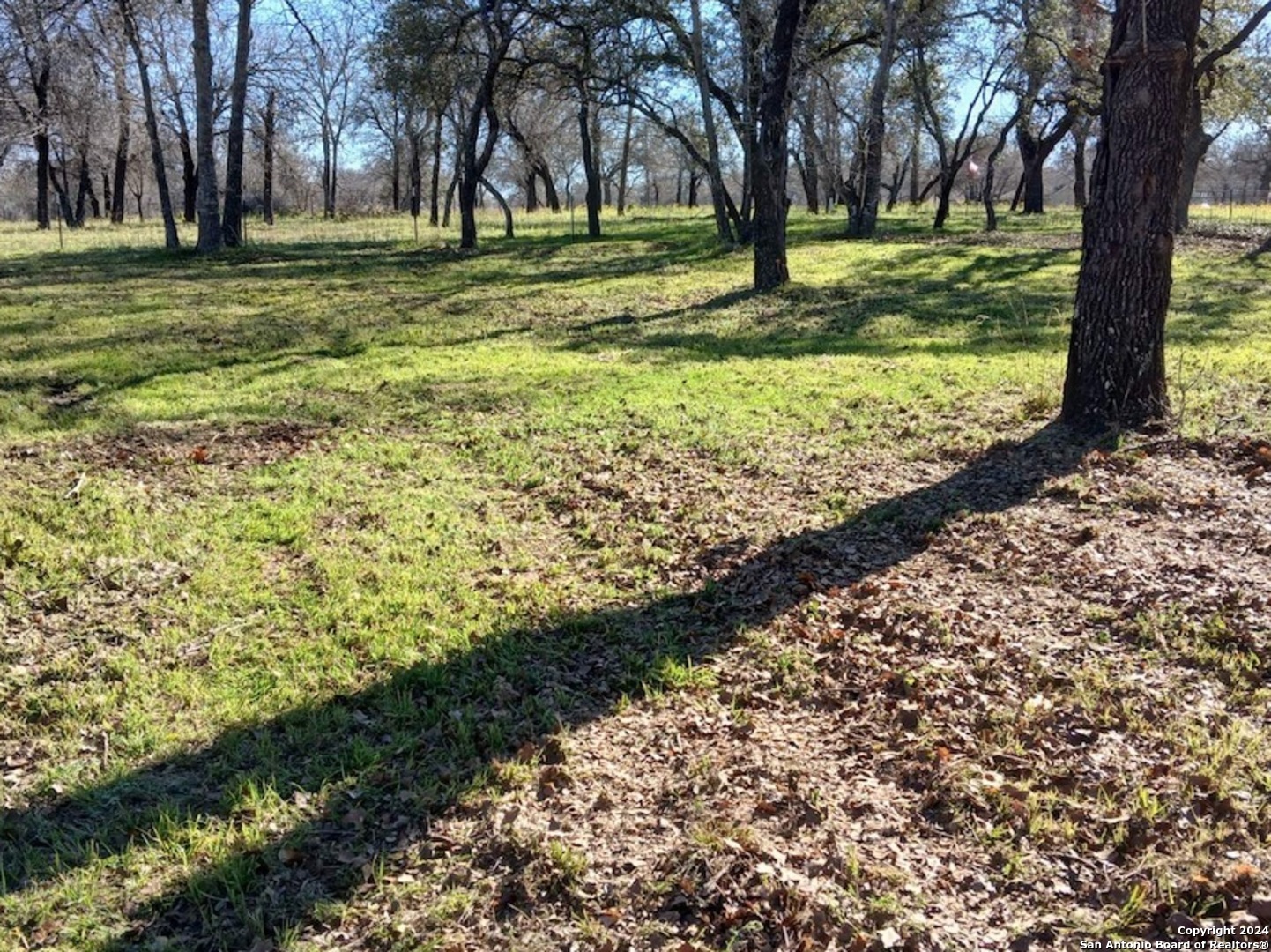 286 County Road 6876 Natalia, TX 78059 - Photo 4 of 4 a big yard with lots of green space and trees