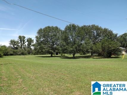 168 Jay Street Cleveland, AL 35049 - Photo 38 of 46