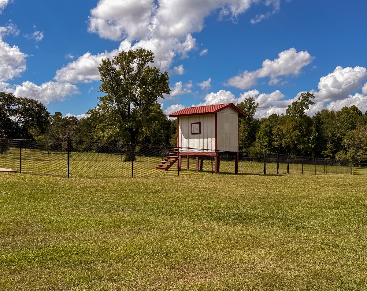 567 Tamie Lowe Road Moscow, TX 75960 - Photo 25 of 50 Gallery Image 25