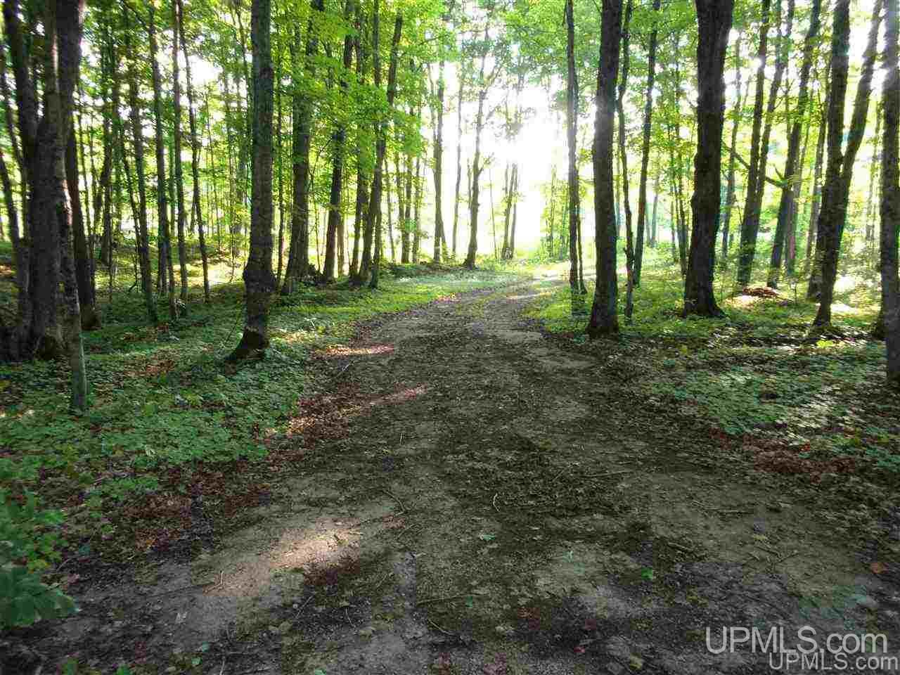 N6975 H-15 Road Shingleton, MI 49884 - Photo 25 of 30