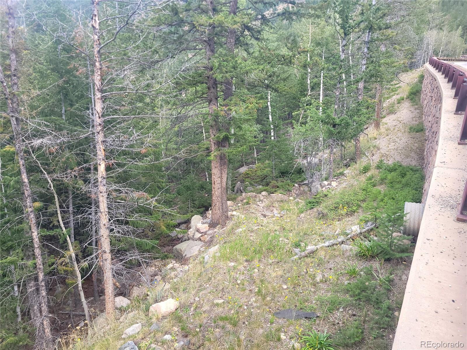 0 Guanella Pass Road Georgetown, CO 80444 - Photo 7 of 10 Gallery Image 7