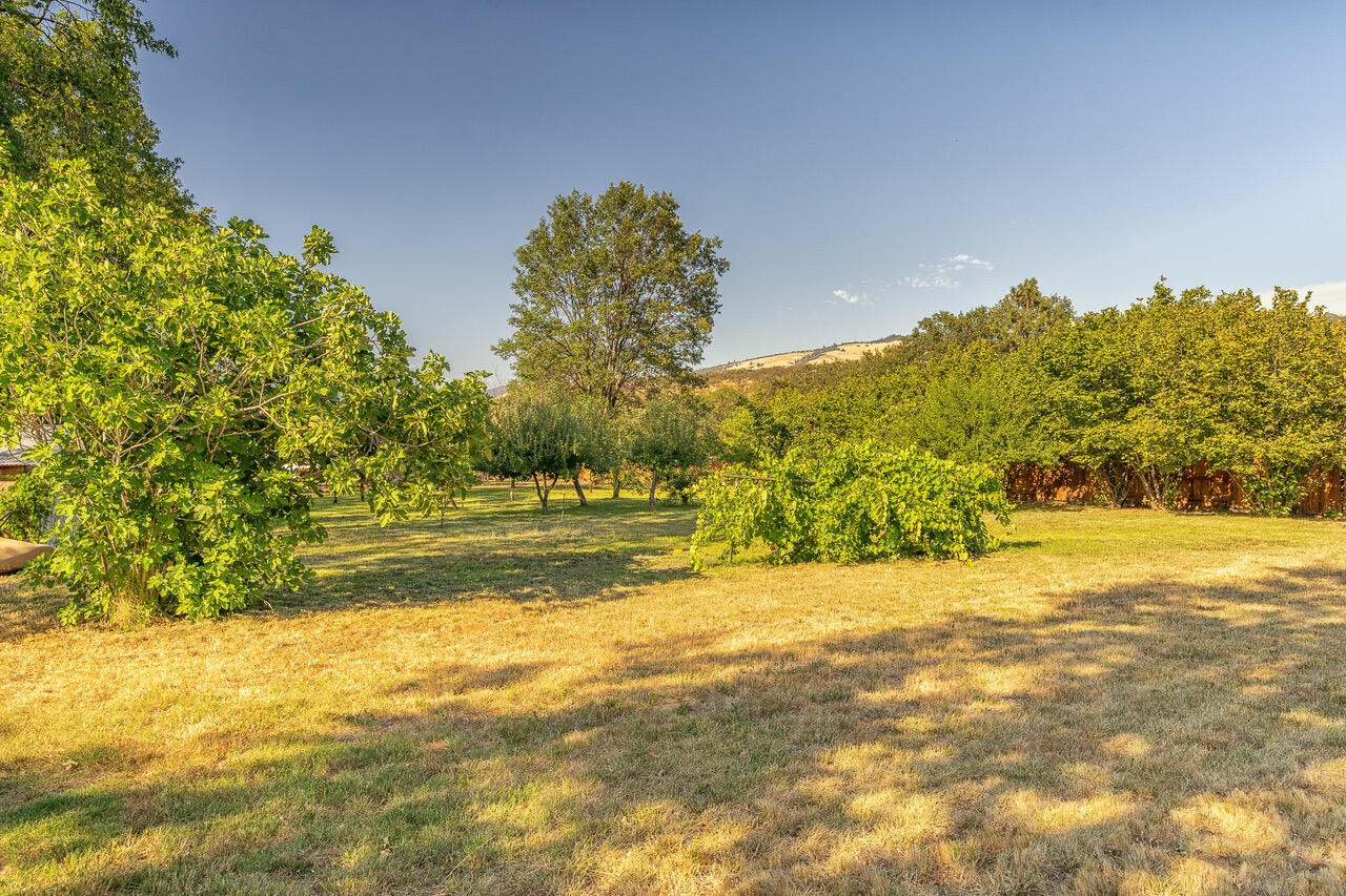 88 Neil Creek Road Ashland, OR 97520 - Photo 14 of 20 untitled (18 of 27)-Edit
