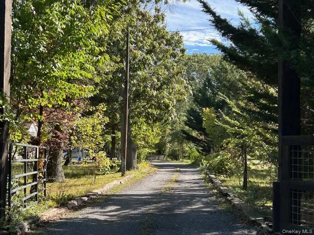 a view of a yard with plants and trees