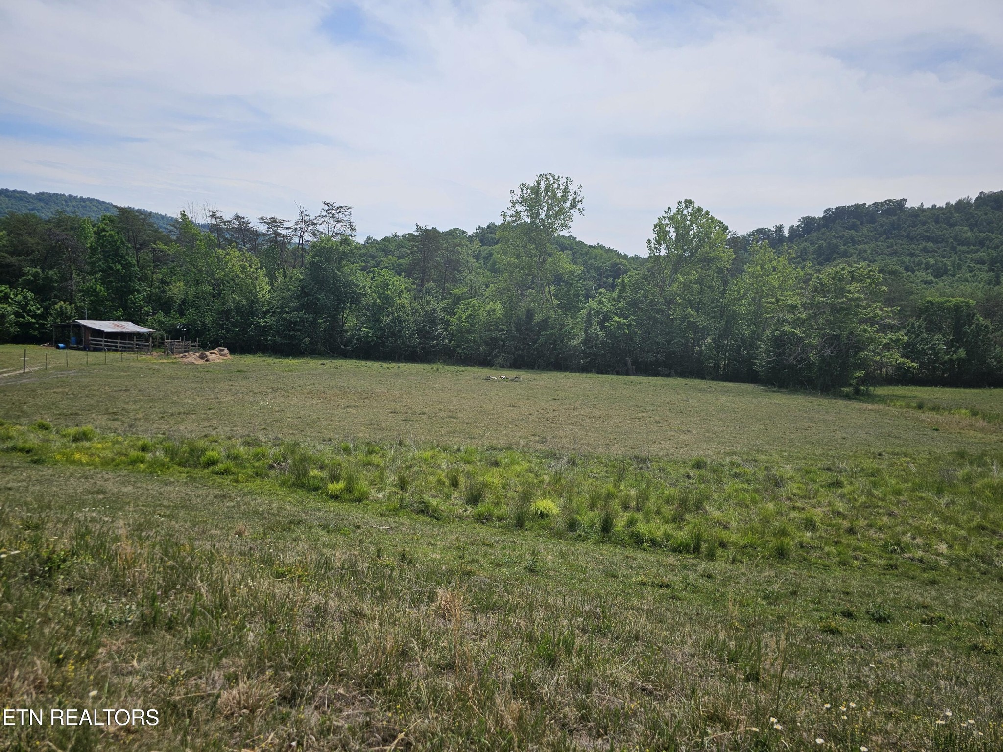 275 Republican Hill Road Newcomb, TN 37819 - Photo 17 of 34 Gallery Image 17