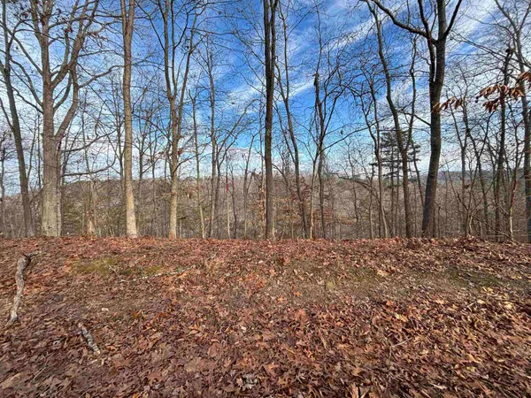 $10,900 | 0 Dry Ridge, Louisa, KY 41230