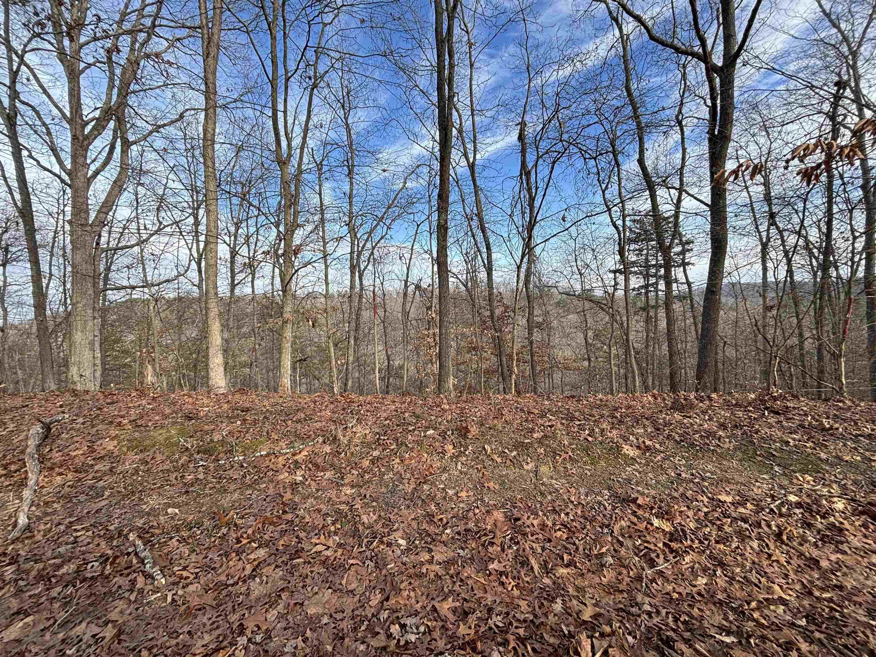 0 Dry Ridge Louisa, KY 41230 - Photo 1 of 18