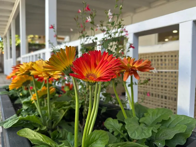 $2,285,000 | 1183 Yosemite Avenue, San Jose, CA 95126