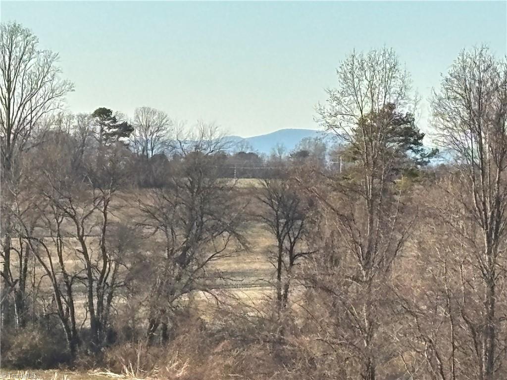 460 Greene Road Dobson, NC 27017 - Photo 32 of 49