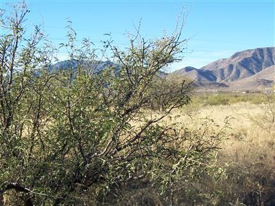 0 East Dragoon Road Cochise, AZ 85606 - Photo 2 of 2 Gallery Image 2