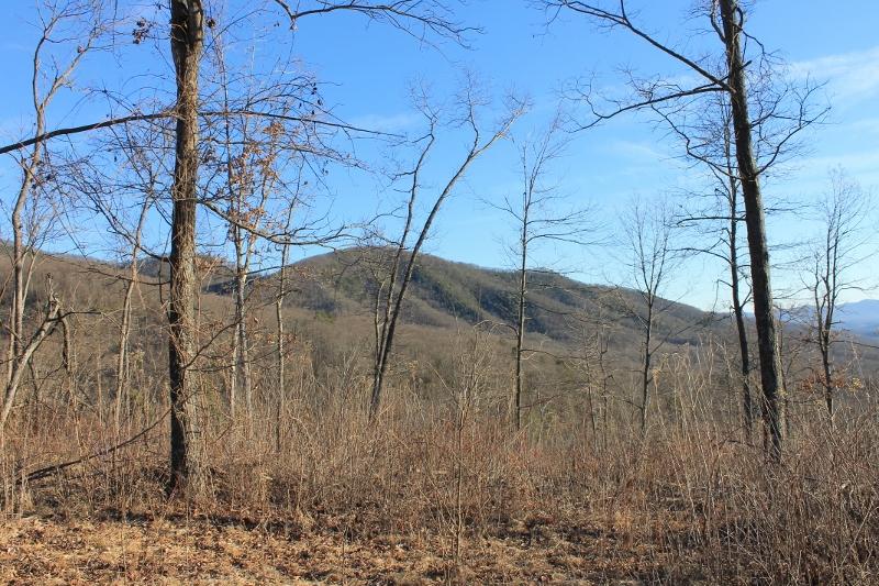 Tract A Narrow Passage Road Eagle Rock, VA 24085 - Photo 1 of 11 IMG_2454 (800x533)