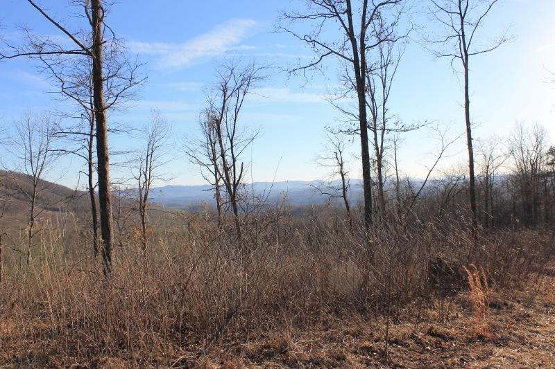 Tract A Narrow Passage Road Eagle Rock, VA 24085 - Photo 7 of 11 IMG_2453 (800x533)