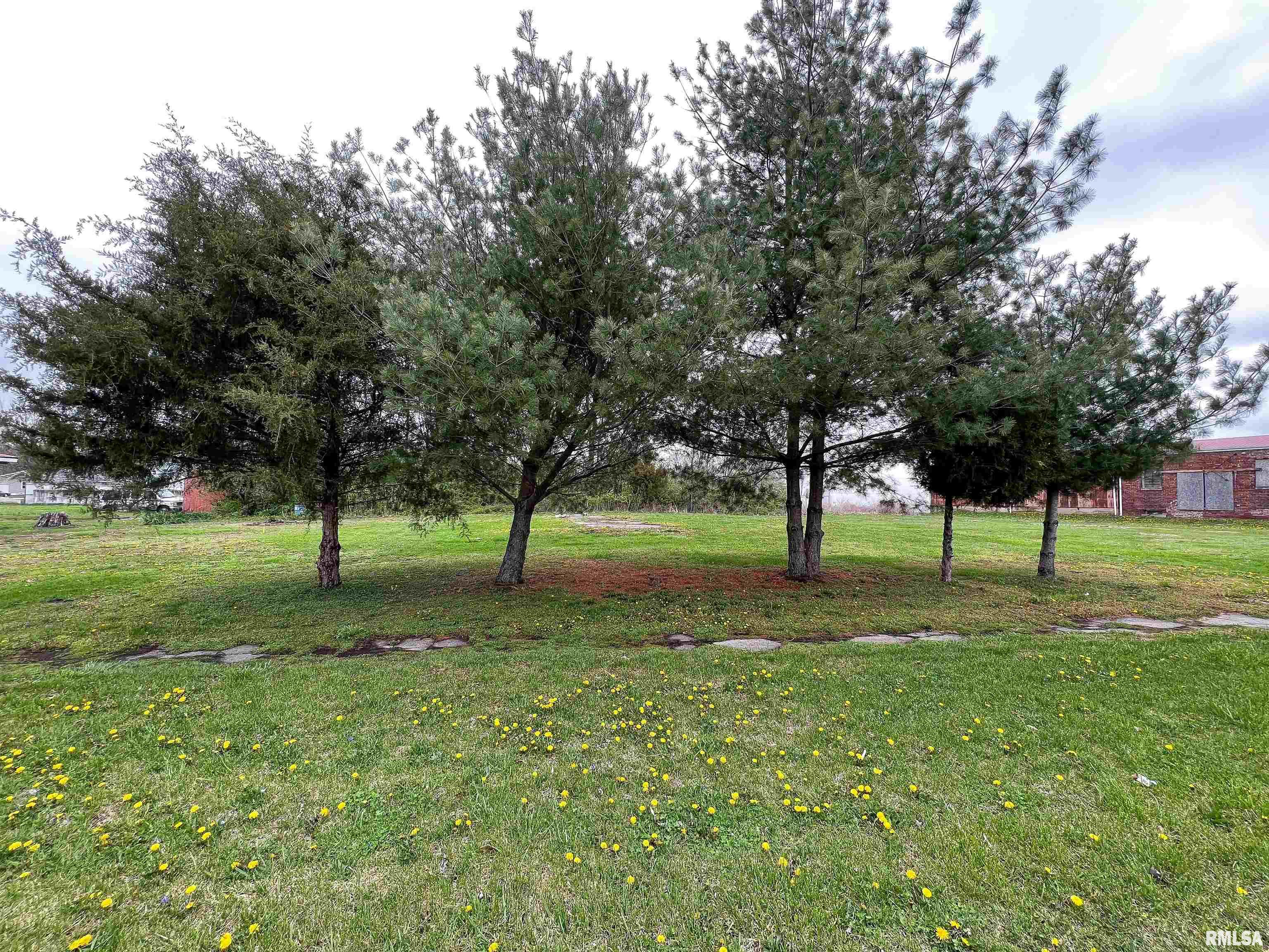 West 3rd Street Flora, IL 62839 - Photo 19 of 25