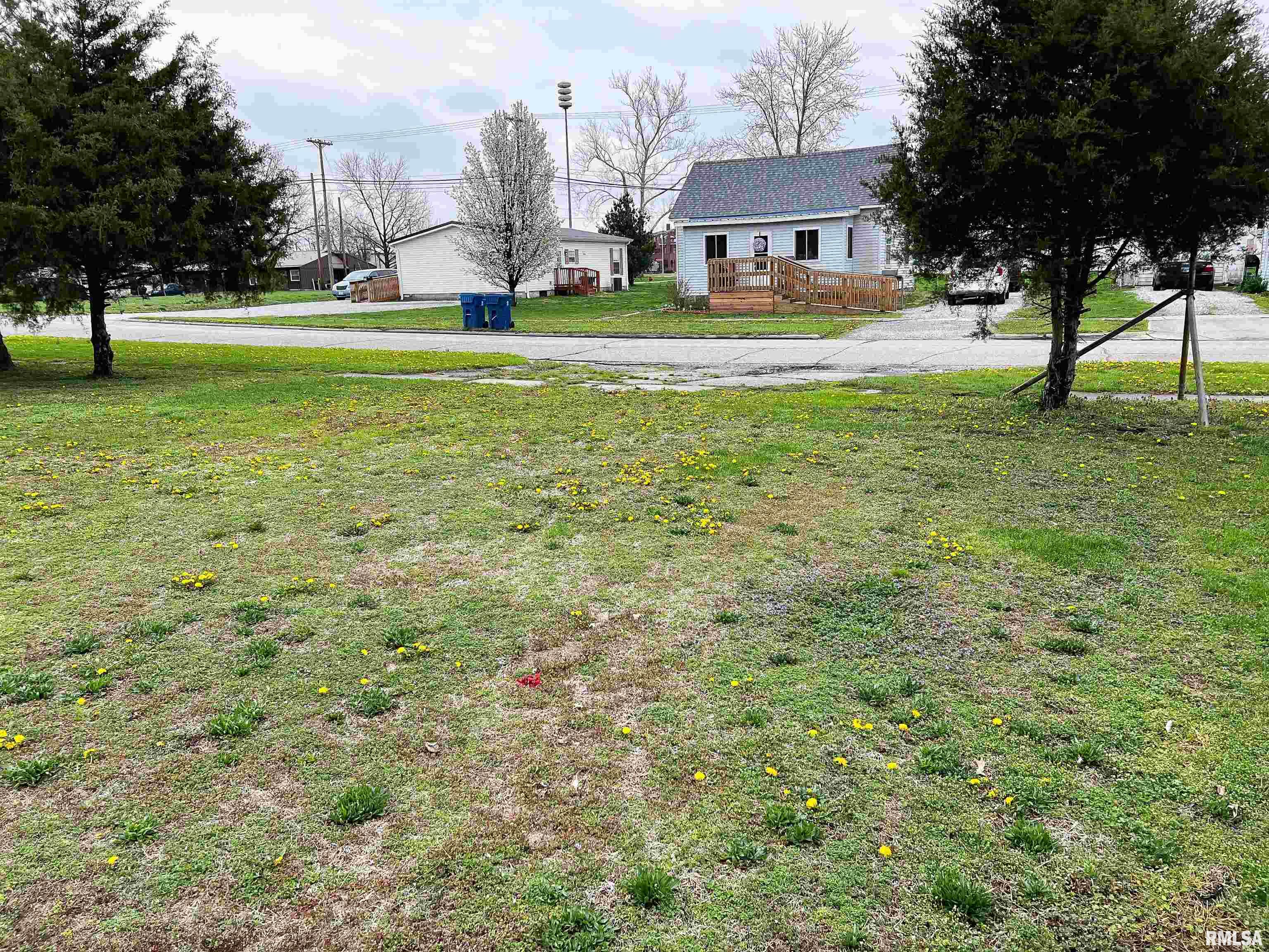 West 3rd Street Flora, IL 62839 - Photo 24 of 25