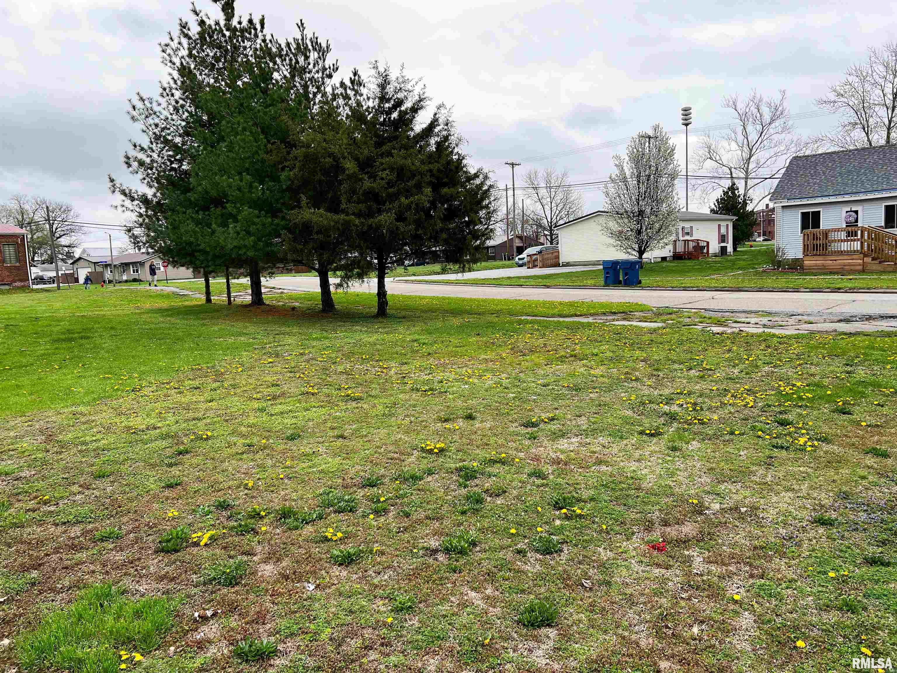 West 3rd Street Flora, IL 62839 - Photo 25 of 25