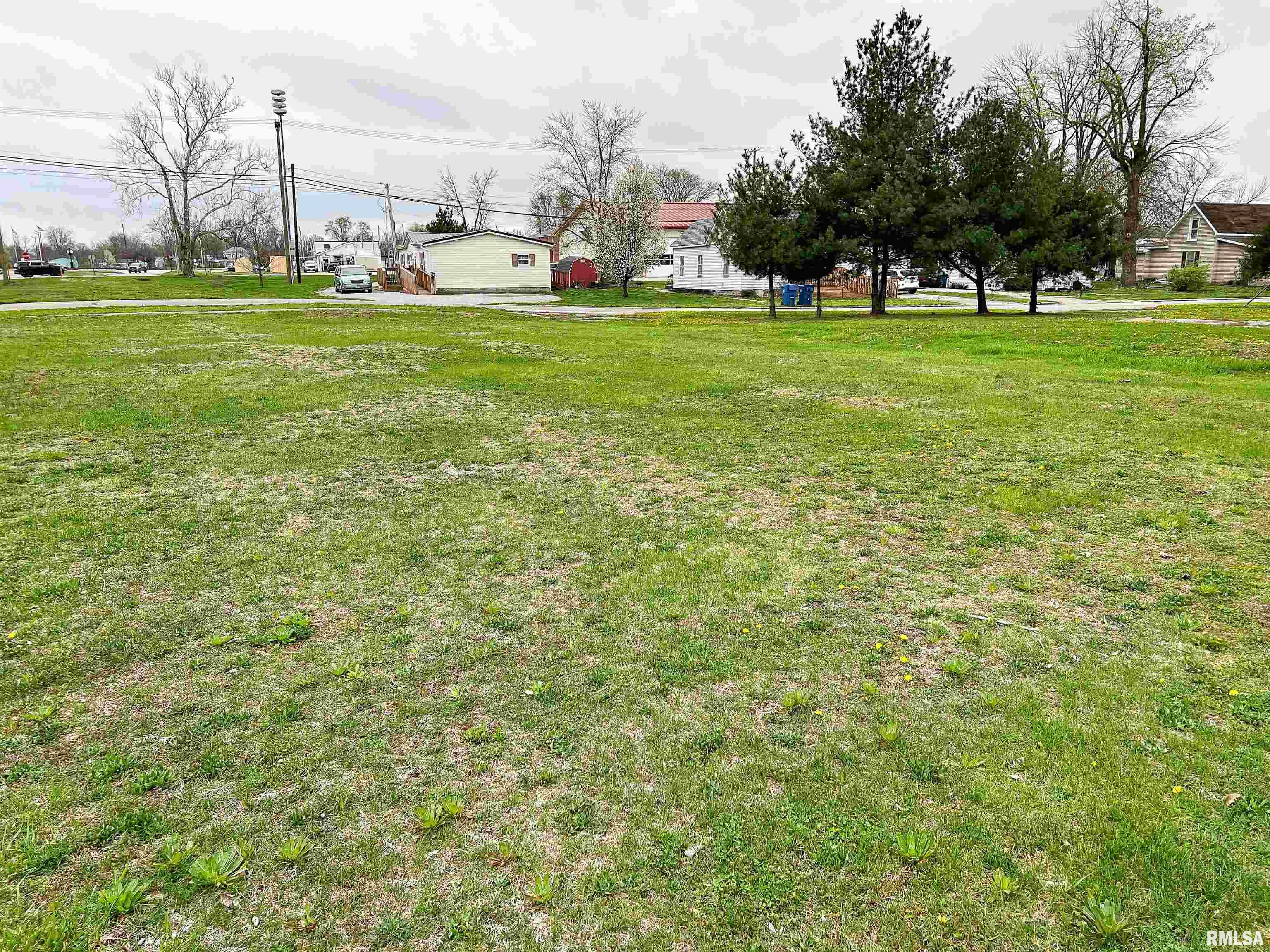 West 3rd Street Flora, IL 62839 - Photo 5 of 25