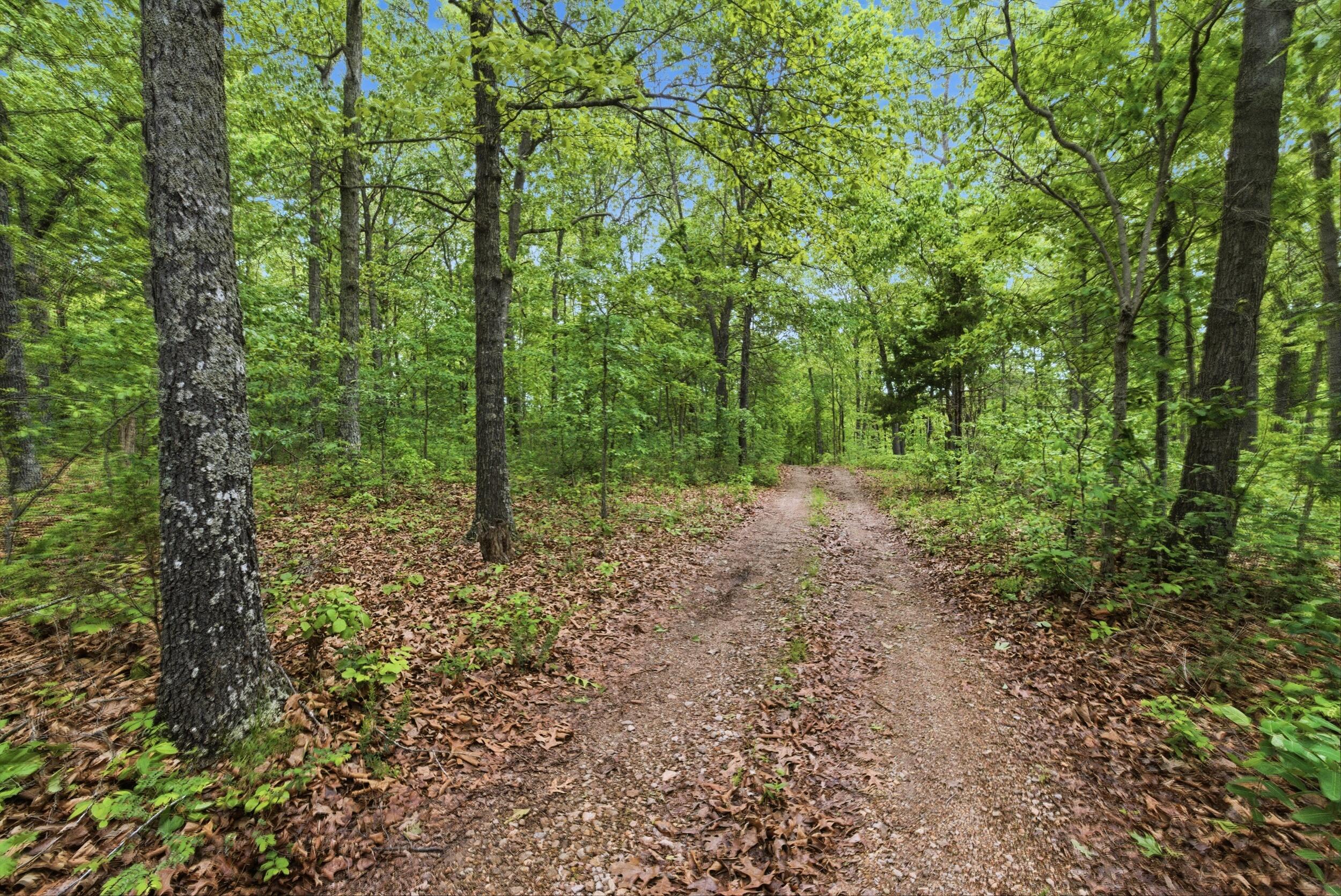 358 Co Road Caulfield, MO 65626 - Photo 45 of 74 img_0197