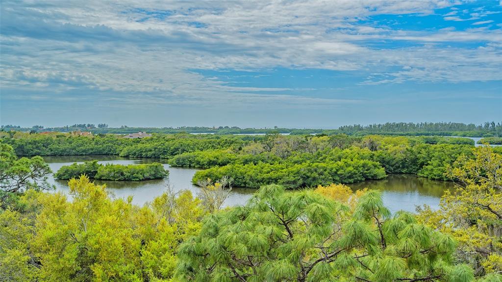 a view of a lake with houses in the back