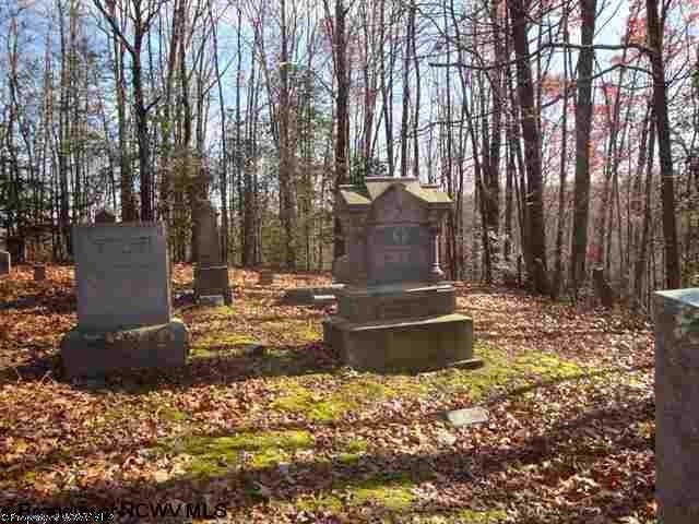 0 Spruce Fork Road Buckhannon, WV 26201 - Photo 11 of 15 Gallery Image 11