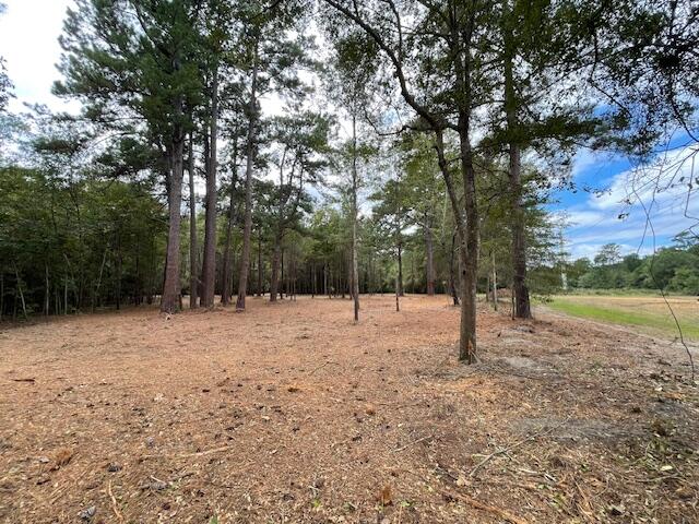 3 Trojan Road Cross, SC 29436 - Photo 5 of 21