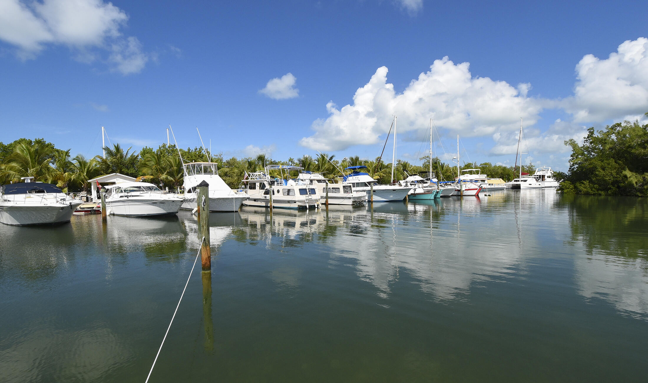 96 Madeira Road, Unit 10 Islamorada, FL 33036 - Photo 8 of 10 Marina
