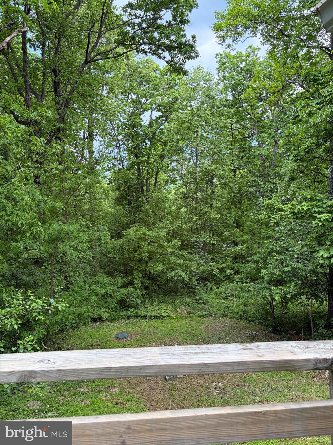 146 Trillium Trail Road Linden, VA 22642 - Photo 17 of 21 a view of a yard