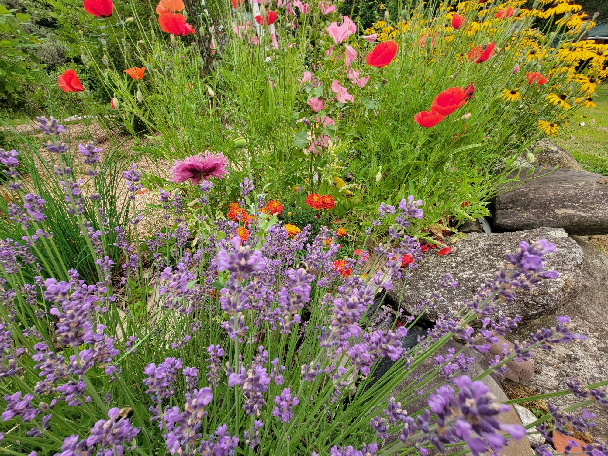 3373 Mariaville Road Mariaville, ME 04605 - Photo 51 of 63 Extensive Gardens